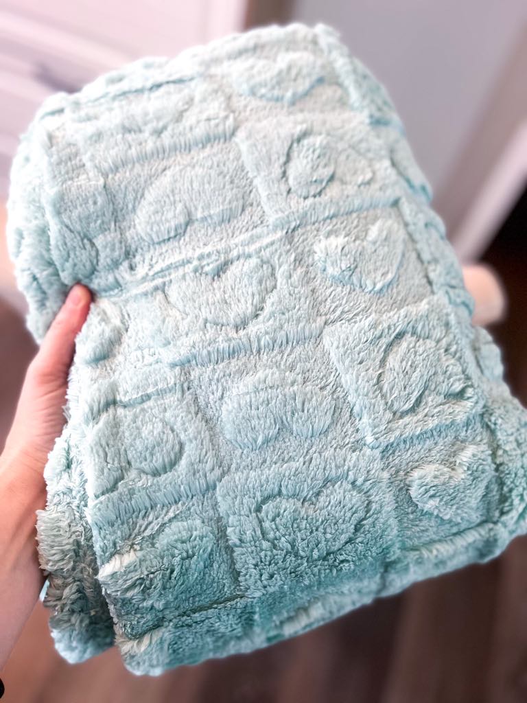 PREORDER: Plush Checker & Heart Blanket 12.16.24