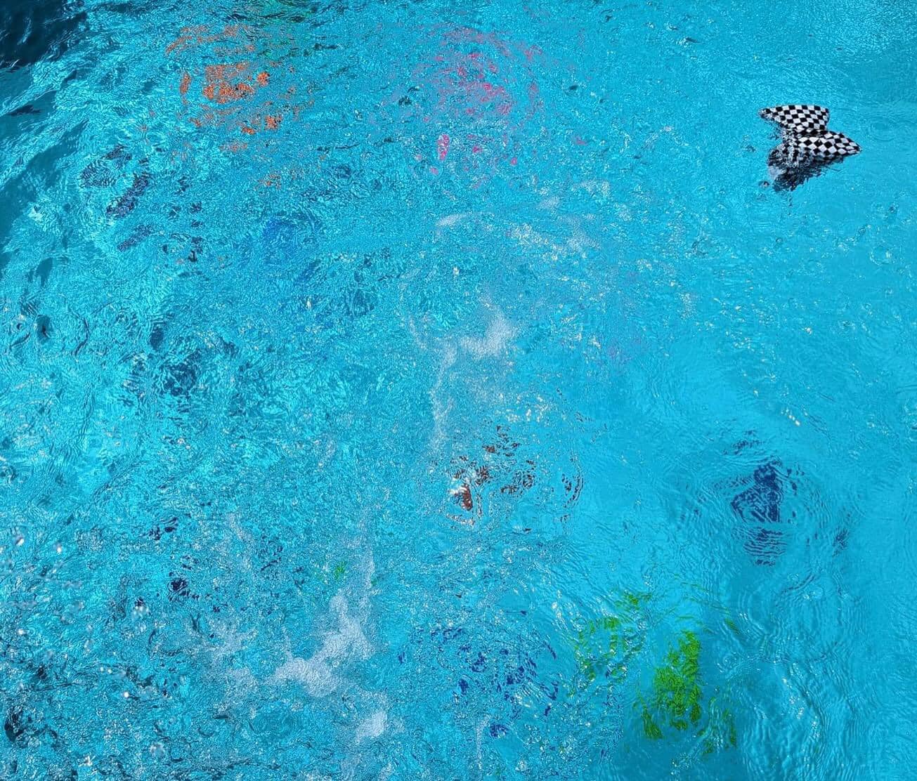 PREORDER: Hi-Vis Boy and Girl Swims 4.22.24